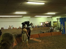 IMG_5217_web